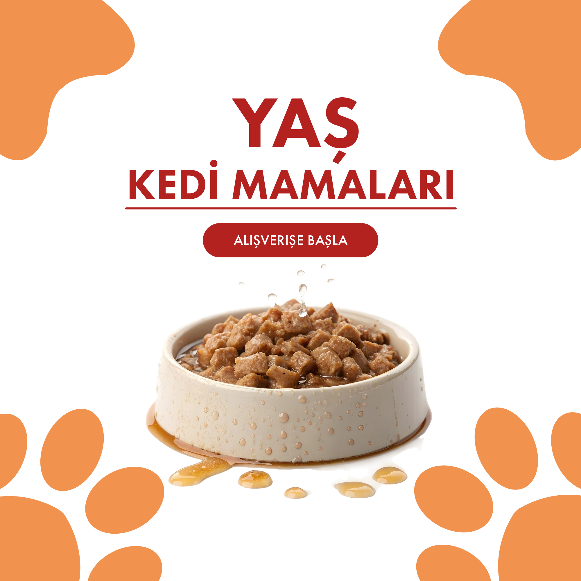 Kedi Yaş Mamaları